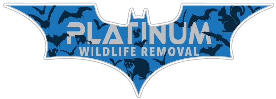 Benton Harbor Wildlife Control